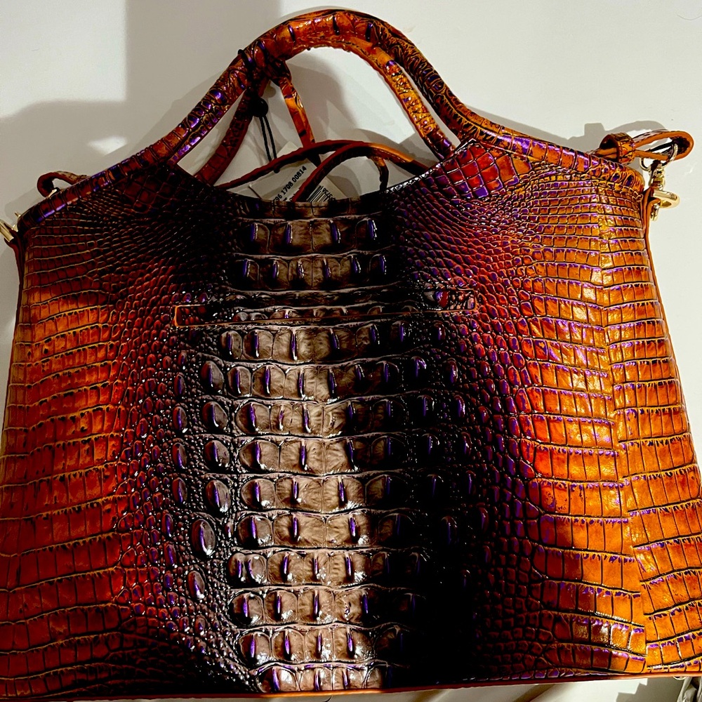 Brahmin Leather Ombré Bag